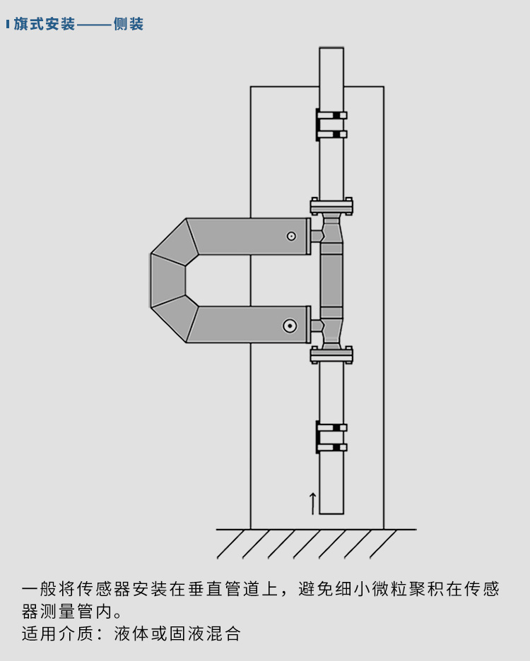 質(zhì)量流量計垂直安裝示意圖